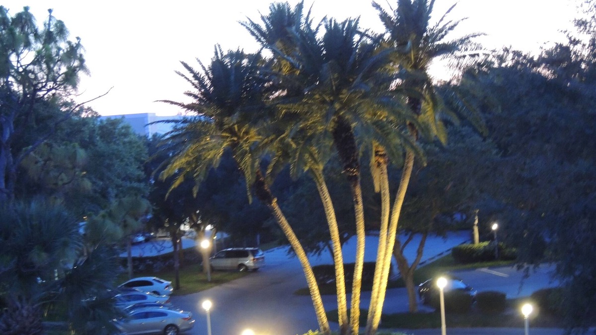 Plantation Condo | Lovely 2-BR Condo w/CC Social Membership