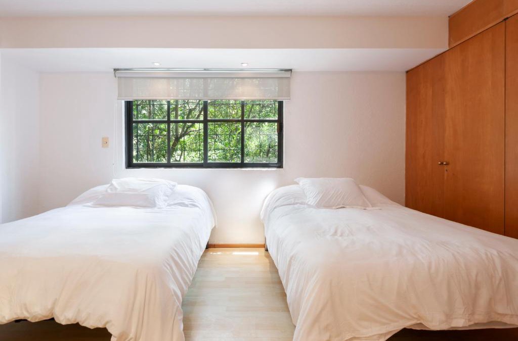 Bosques de las Lomas Apartment | Lovely apartment Ahuehuetes