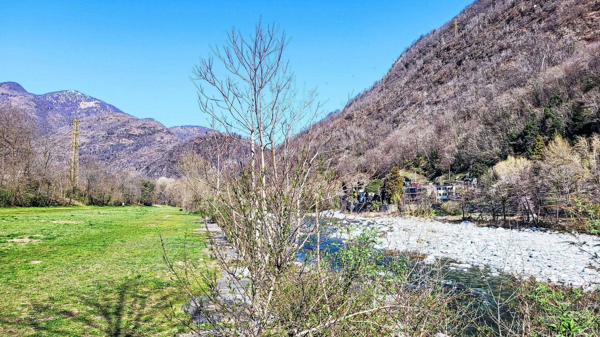 Losone Apartment | Lovely apartment for 3 people with WIFI, TV, balcony, pets allowed and panoramic view