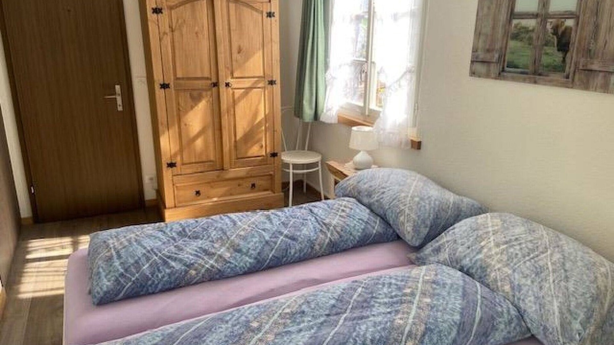 Ruedisbach Apartment | Lovely apartment for 4 people with WIFI, TV, balcony and pets allowed