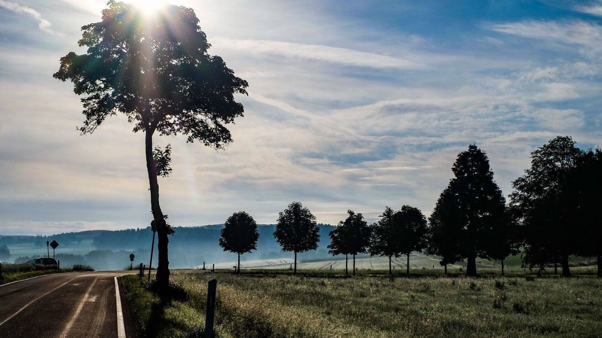 Schoenecken Apartment | Lovely apartment for 4 people with WIFI, TV, patio and pets allowed