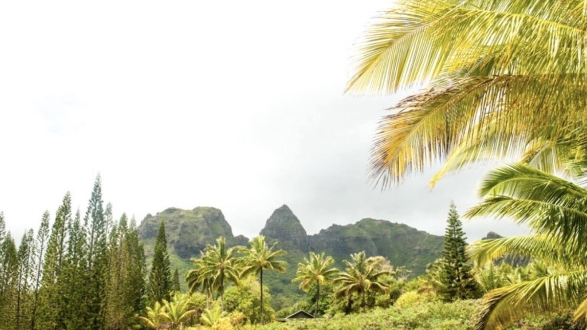 Anahola House | Lovely Country Cottage