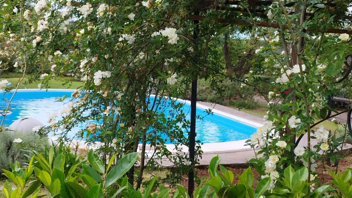 Cisterna di Latina House | Lovely Depandance with use of pool