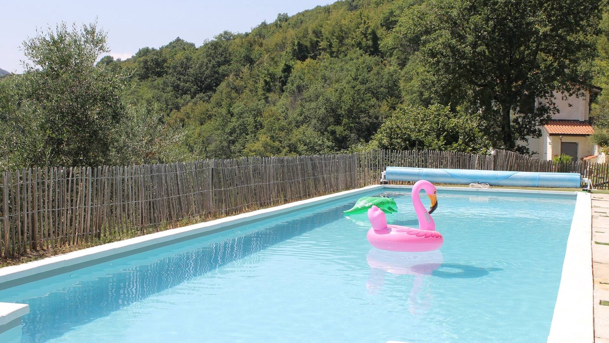 Tresana Villa | Lovely greenery detached house with inground private swimming pool. Large garde