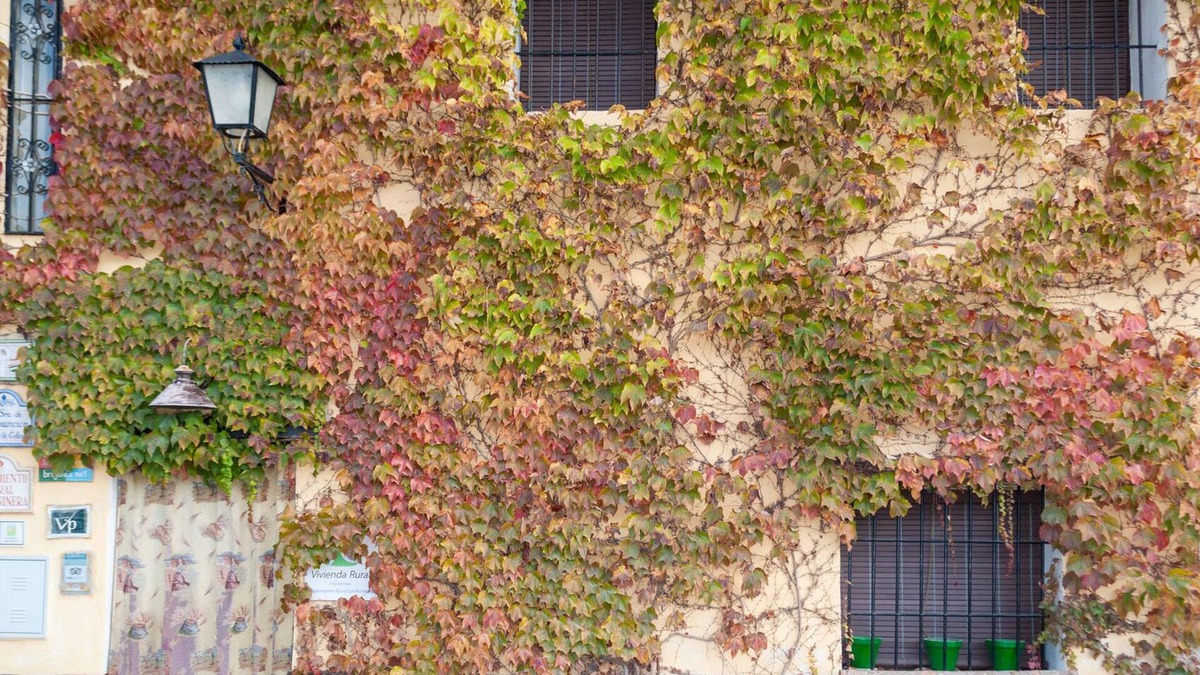 Arenas del Rey House | Lovely home in Arenas del Rey with WiFi