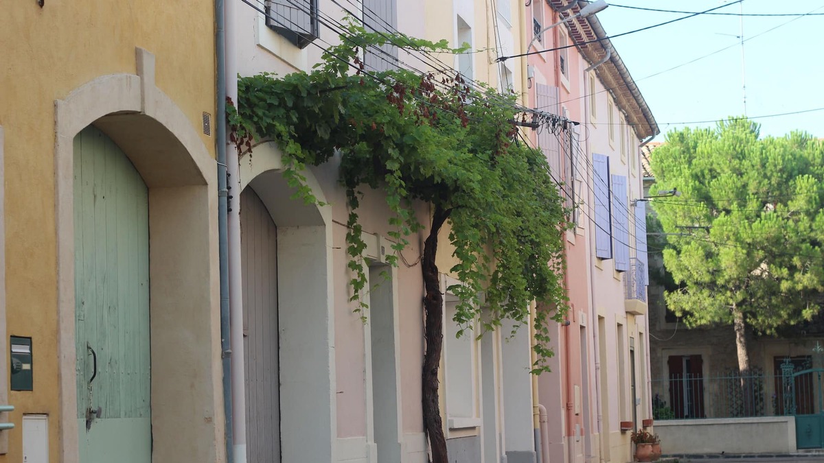Puisserguier House | Lovely Period Home In a village in The Heart Of The Languedoc region