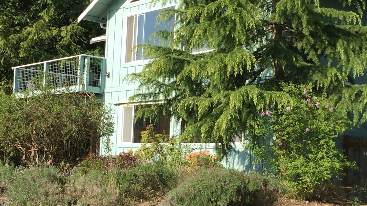 Sequim Cabin | Lovely Private Sunny Cabin Home With Woods, Meadow and Wildlife. Pet friendly.