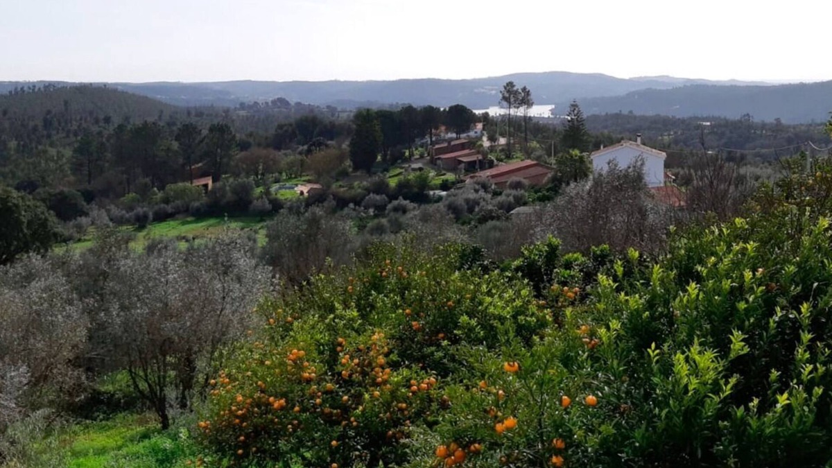 Tomar Cottage | lovely rustic country house