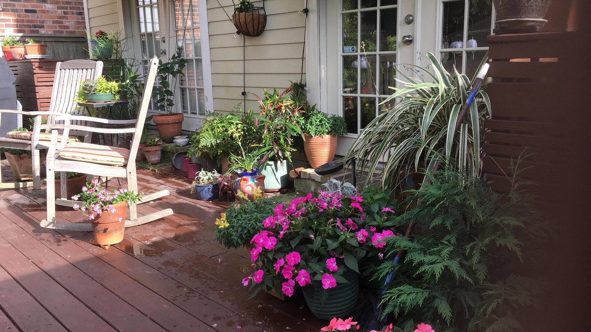 Uptown Historic District House | Lovely uptown camelback available; two bedrooms on private floor.