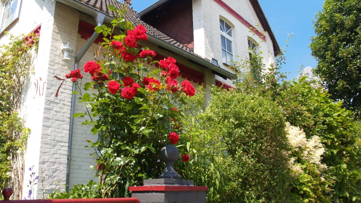 Buxtehude Apartment | Lovingly modernized apartment in Buxtehude - central + quiet!