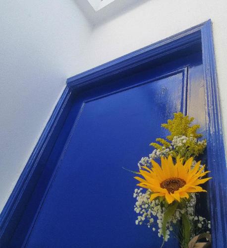 New Damietta Apartment | Loyalty apartment