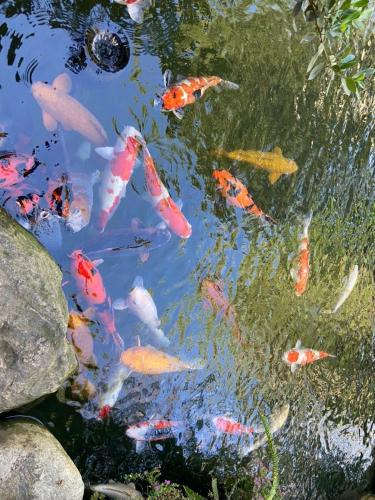 Phuoc Tan Resort | LUCKY STAR RESORT