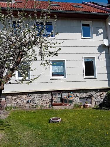 Grub Apartment | Lucy 1