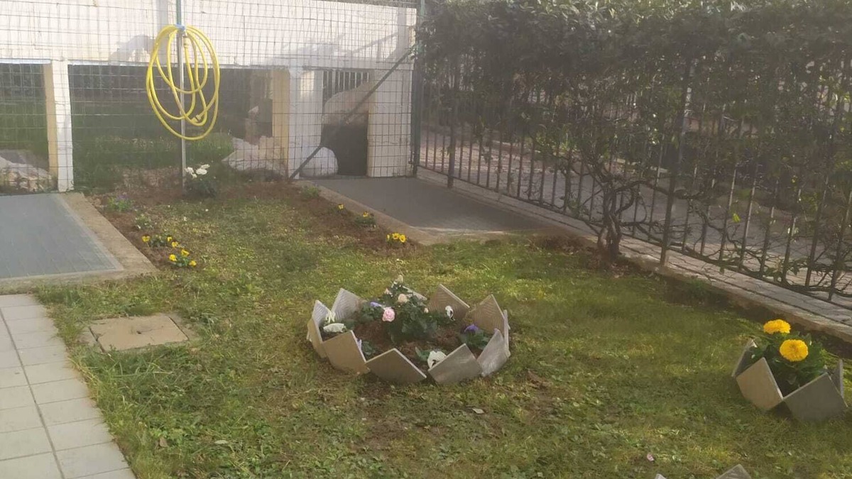 Dalmine Apartment | Luogo tranquillo,vicino al centro del paese e al casello autostradale