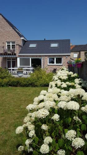 Beveren House | Luppolo vakantiehuis Westhoek