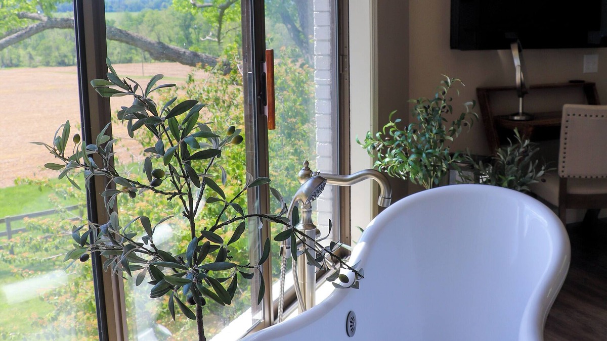 Haywood Other | Lush Countryside & Shenandoah Mountain Views at Quiet Hills Retreat