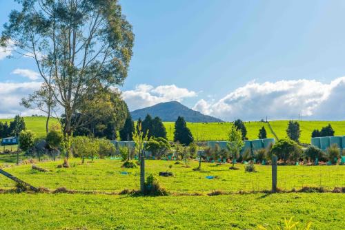 Mount Ruapehu Ski Area House | Lush Escape - Lake Taupo Holiday Home