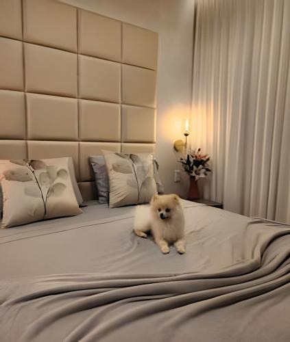 Goiania Apartment | Lux Flamboyant - Marylebone