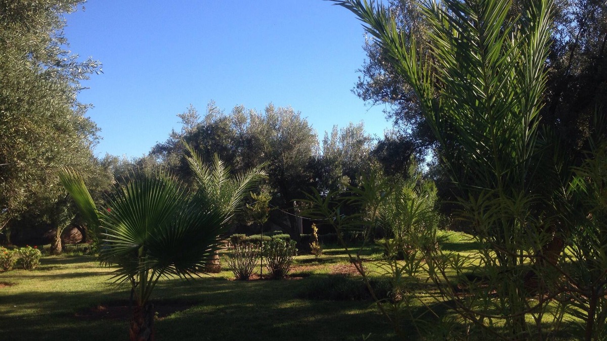 Zaouia Sidi Abdallah Ben Sassi Villa | luxurious villa marrakech