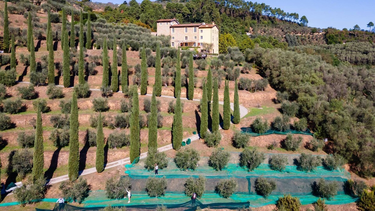 Cascine-La Croce Villa | Luxury 6-bed Tuscan Villa Near Lucca and Florence