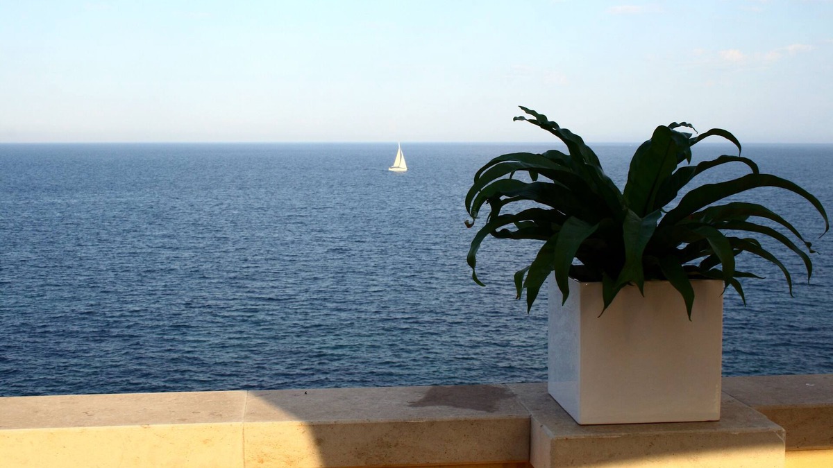 Ortigia Apartment | Luxury Apartment In Ancient Building With Breathtaking Ocean View in Ortigia