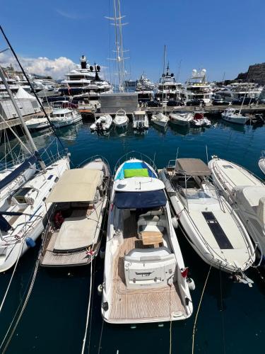 La Condamine Boat Rental | LUXURY BOAT in MONACO