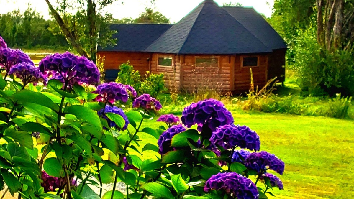 Llanon Cabin | Luxury Glamping in Hobbit Lodge, quiet, relaxing for that special break away.