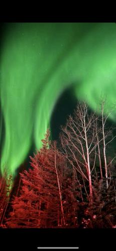 College Villa | Luxury Northern Light Oasis