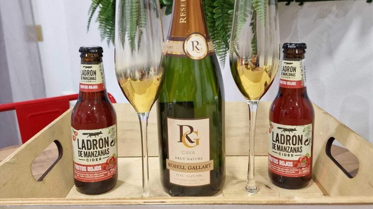 Tomelloso Condo | Luxury Penthouse by Alexandra