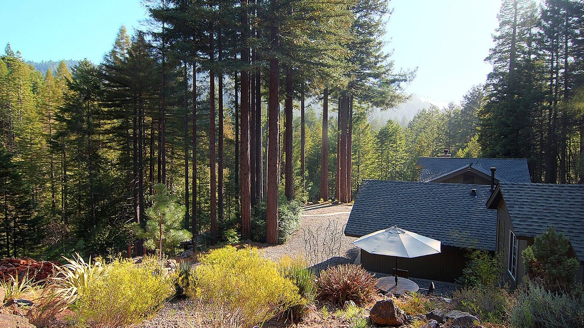 Cazadero House | Luxury Redwoods Estate Compound w/Hot Tub and Fire Pit