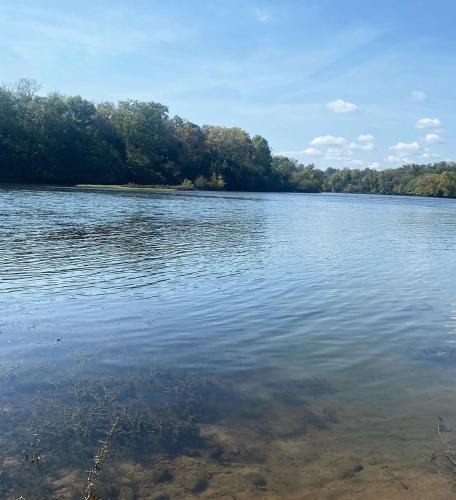Knox County House | Luxury Riverfront Tiny Home- Amazing Views #555