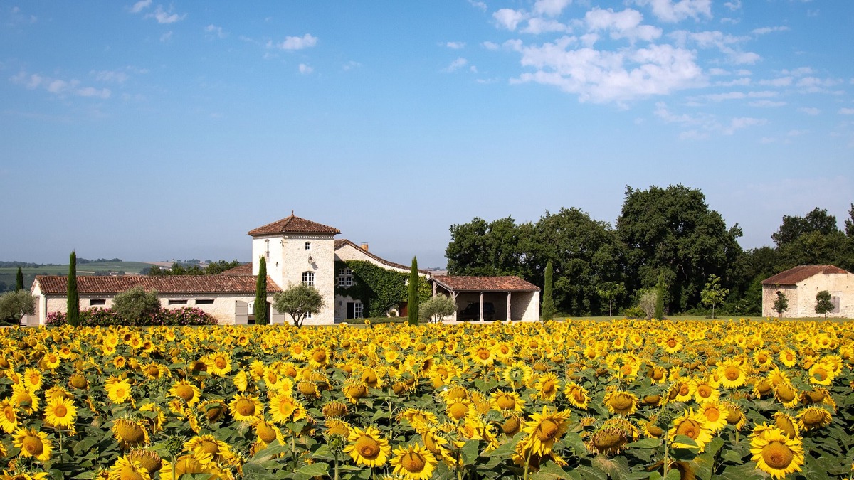 Condom Other | Luxury secluded 14c hilltop Farmhouse set in 10 acres