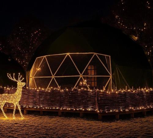 Cuddesdon House | Luxury Star Gazing Dome 3 NEPTUNE with Cozy log burner