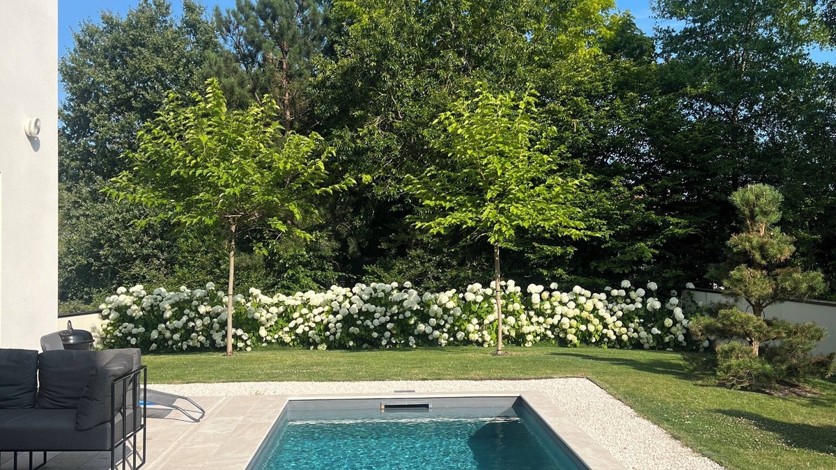 Blois Villa | Luxury Villa in Blois: 4-Bedroom with Private Pool in Peaceful Natural Setting