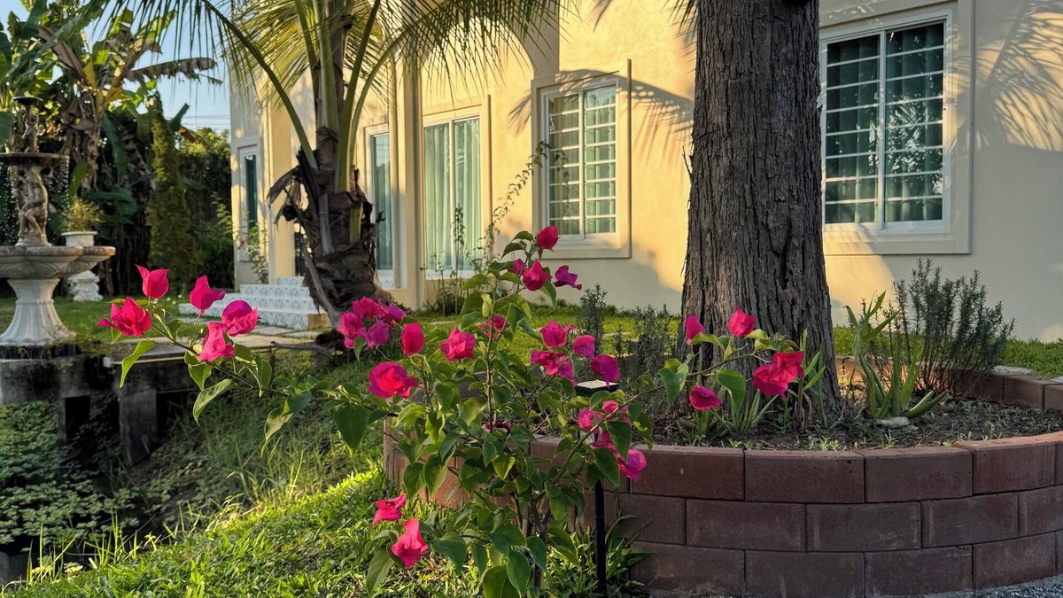 San Pa Thong Villa | Luxury Villa Lacroix Organic FarmStay Chiang Mai