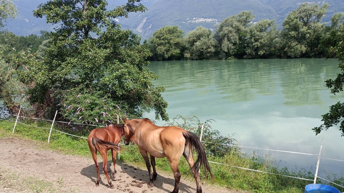 Traona House | Luxury Villa Sleep 6 Close to Lake of Como
