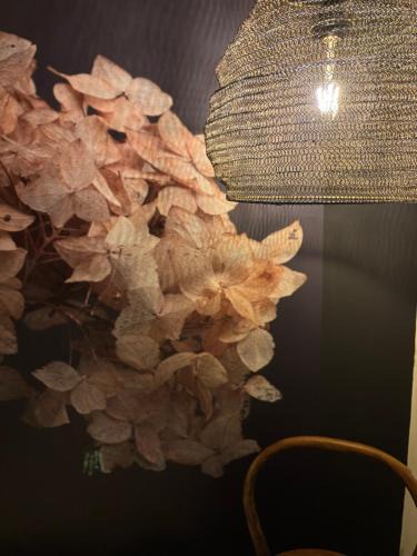 Angra do Heroismo Apartment | LUZZ me - Casa das Doze Ribeiras