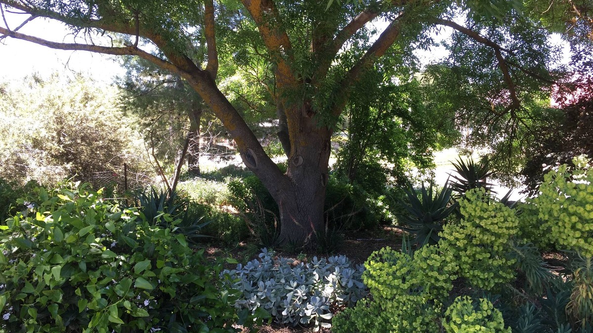 Upper Wakefield Bed & Breakfast | Lyreen's Apartment B&B