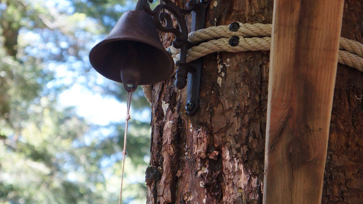 La Tour-dʼAuvergne Cabin | Méïzou des Puys tree house