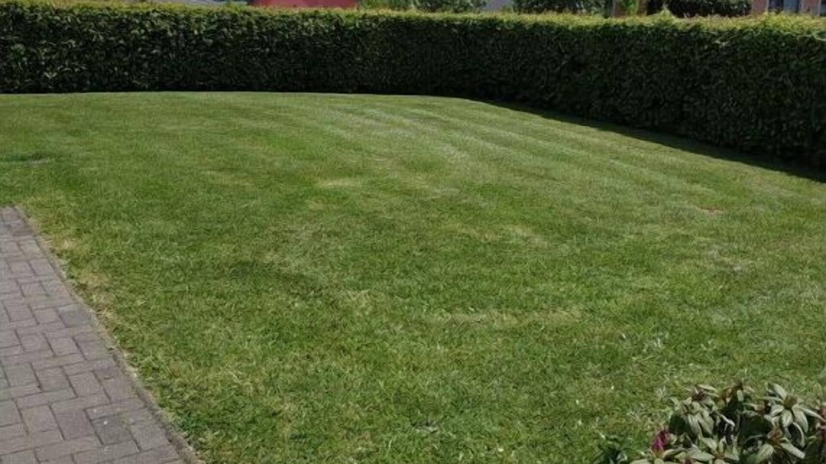 Lutzkampen House | Müller Comfortable holiday residence