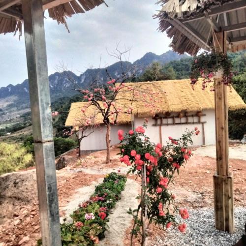 Moc Chau House | Mường sang farmstay
