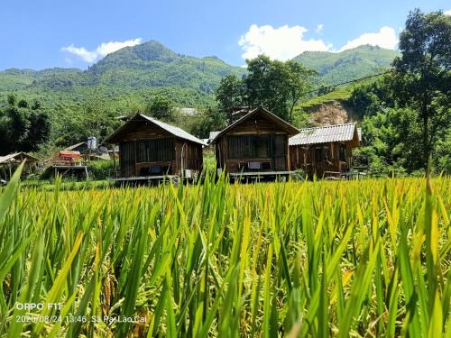 Sa Pa Cabin | Mẩy Lơ Homestay