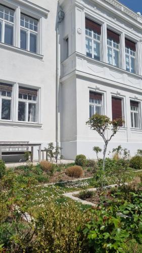 Baden Apartment | M11 Baden bei Wien