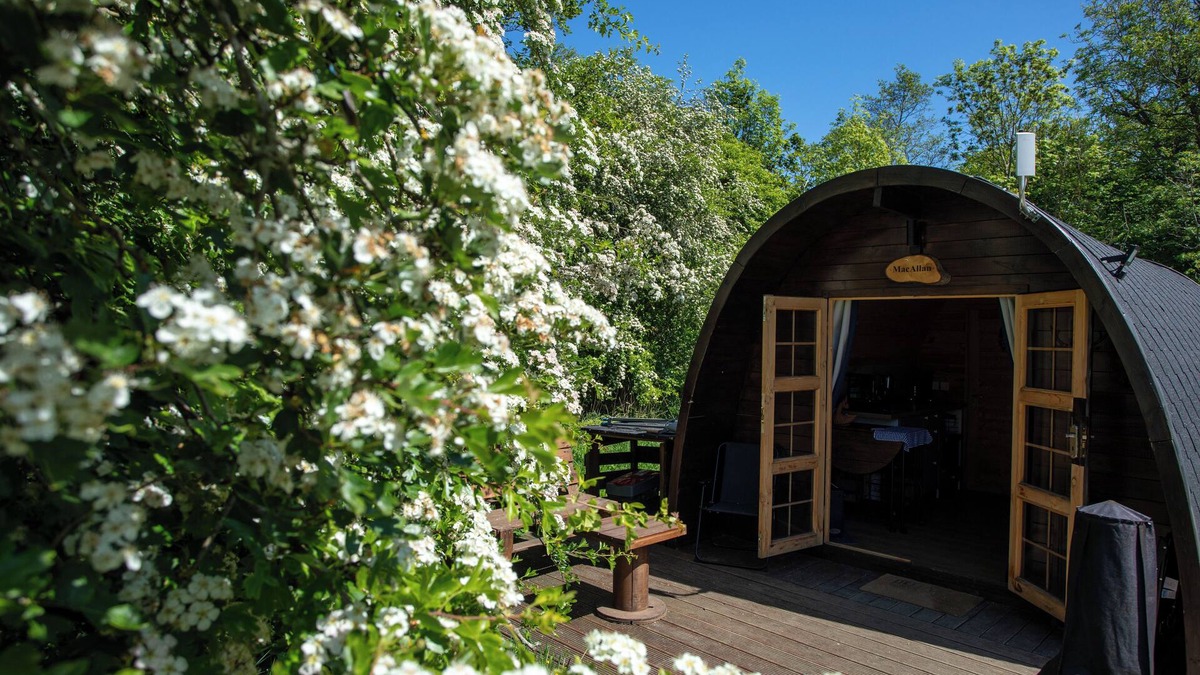Dunfermline Cabin | Macallan, Off-Grid Cabin in Woods: Macallan. Pet Friendly!
