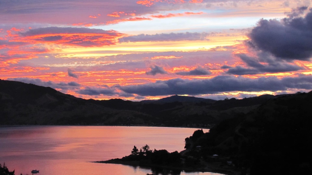 Tokomaru Bay Condo | Macrocapa Heights farm