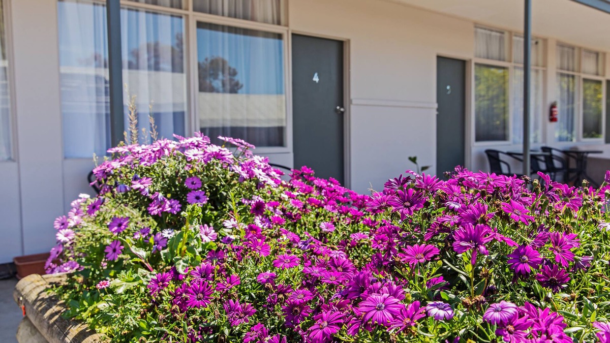 Maffra Hotel | Maffra Motor Inn