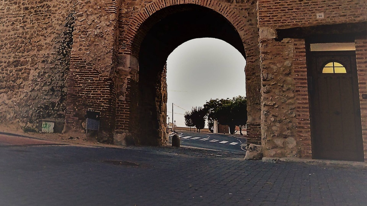 Olmedo House | magic in the bow