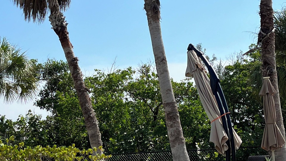 Cape Haze House | Magical 2 bedroom home with pool & dock on secluded Palm Island - walk to beach