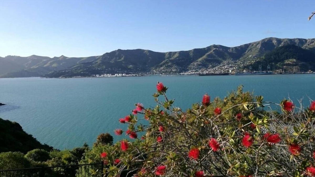 Diamond Harbour House | Magical Harbour Views