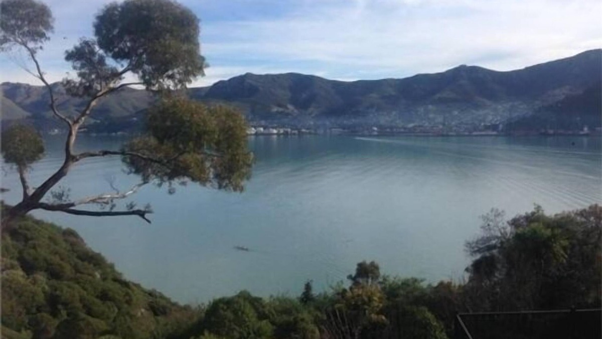 Diamond Harbour House | Magical Harbour Views 2